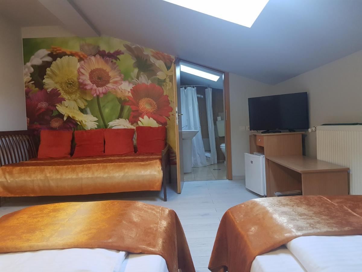 Pensiunea Paloma 3 Stele Guest house Brasov