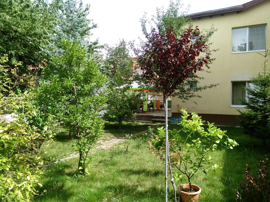 Gasthof Pensiunea Paloma 3 Stele 3*