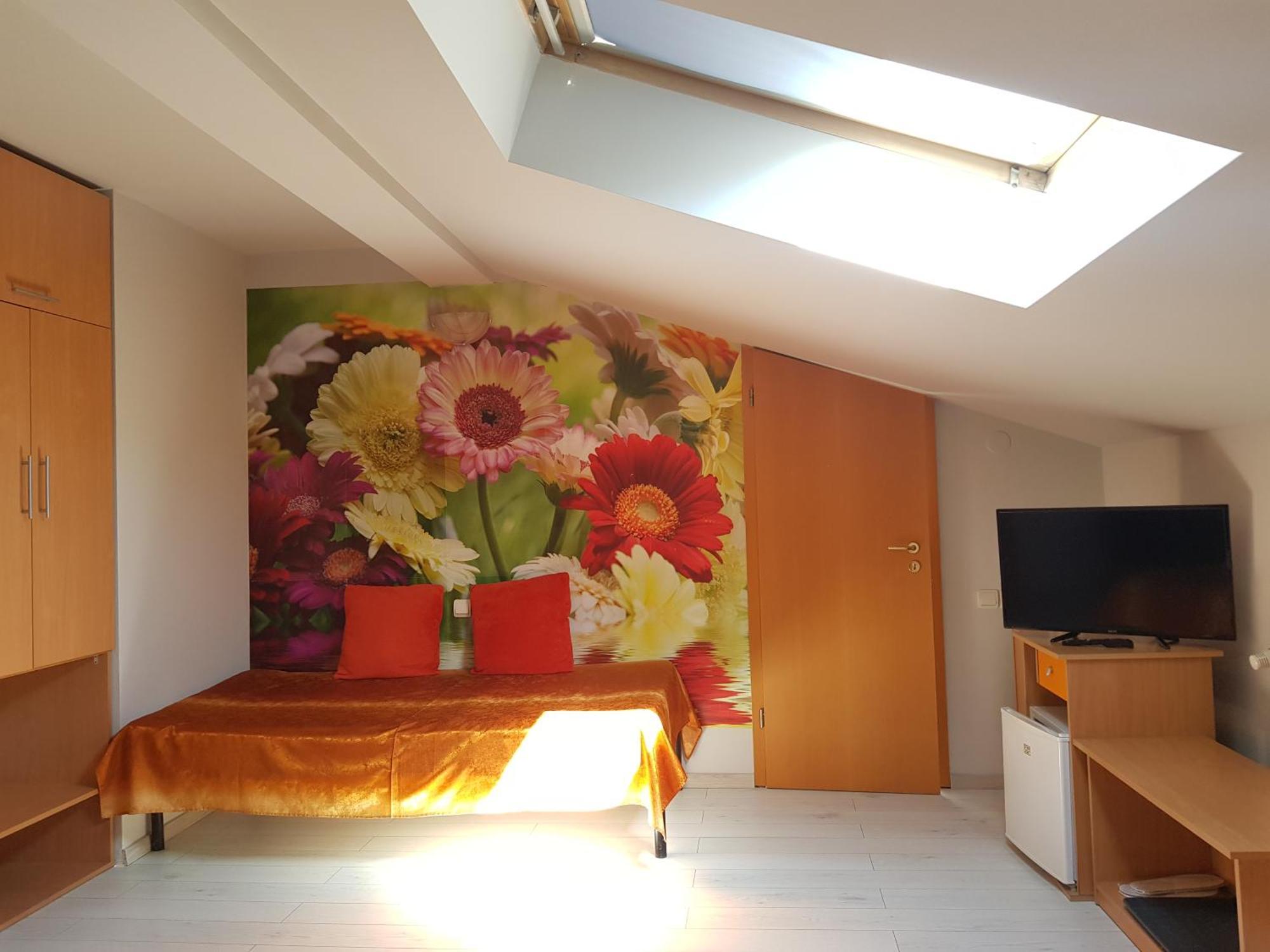 Guest house Pensiunea Paloma 3 Stele