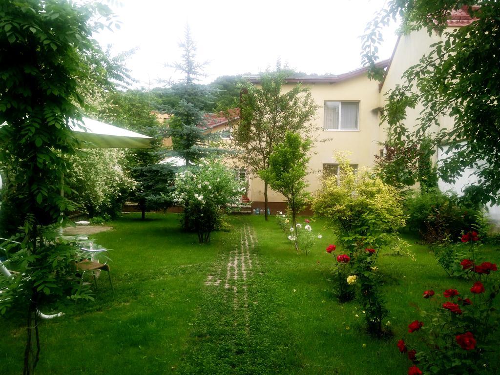 Guest house Pensiunea Paloma 3 Stele