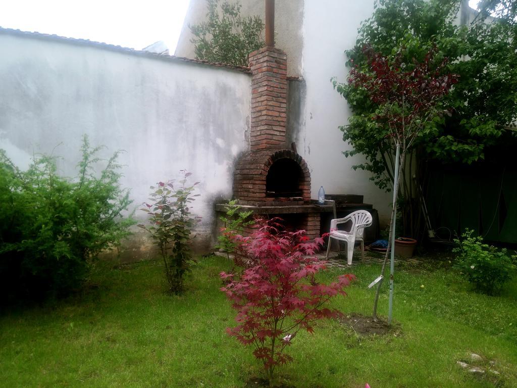 Gasthof Pensiunea Paloma 3 Stele